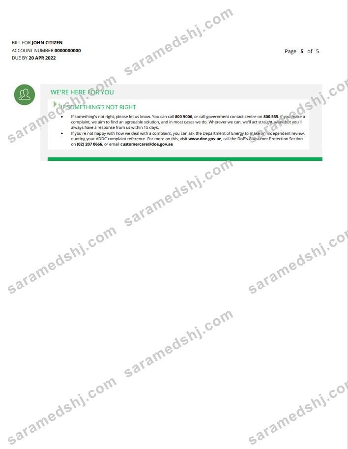 UAE Ras Al Khaimah Al Ain Distribution Co. Word and PDF utility bill template (5 pages) 5